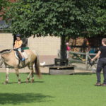 Paardrijden bij de kinderboerderbij op De Roek vakantiebungalows op de Veluwe