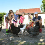 Dieren voeren op kinderboerderij van De Roek vakantiebungalows