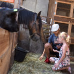 Paard voeren op kinderboerderij van De Roek vakantiebungalows