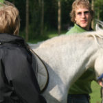 Paard op de kinderboerderij van De Roek op de Veluwe