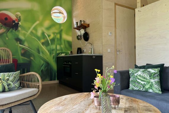 Tiny House Lieveheersbeestje op de Veluwe