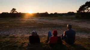 Geniet van het najaar op de Veluwe