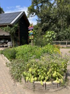 Kruidentuin op de Roek