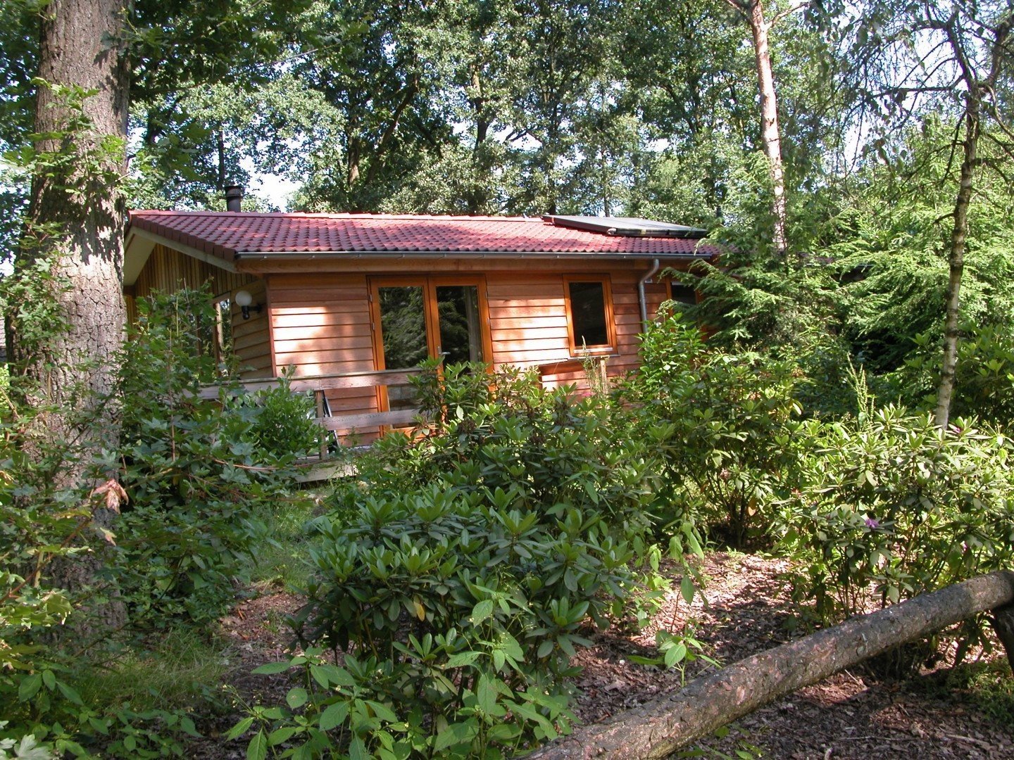 Bosuil 2