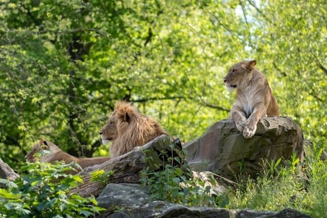 Burgers Zoo