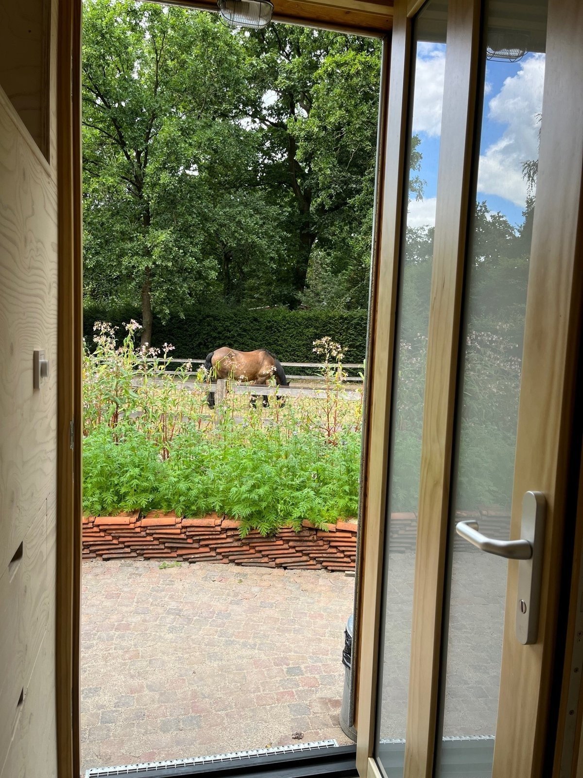 De bij 15
