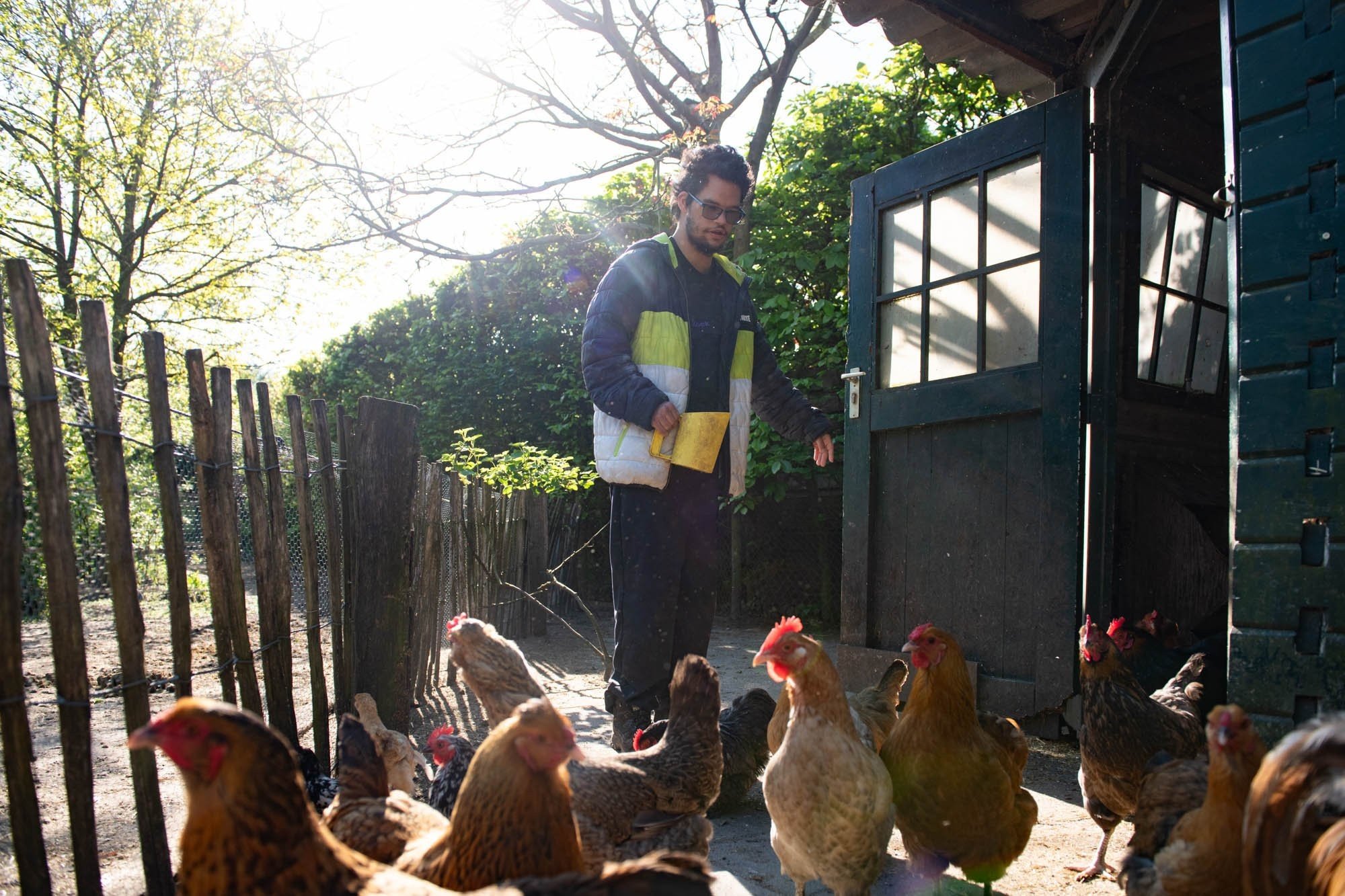 De boerderijgroep 1