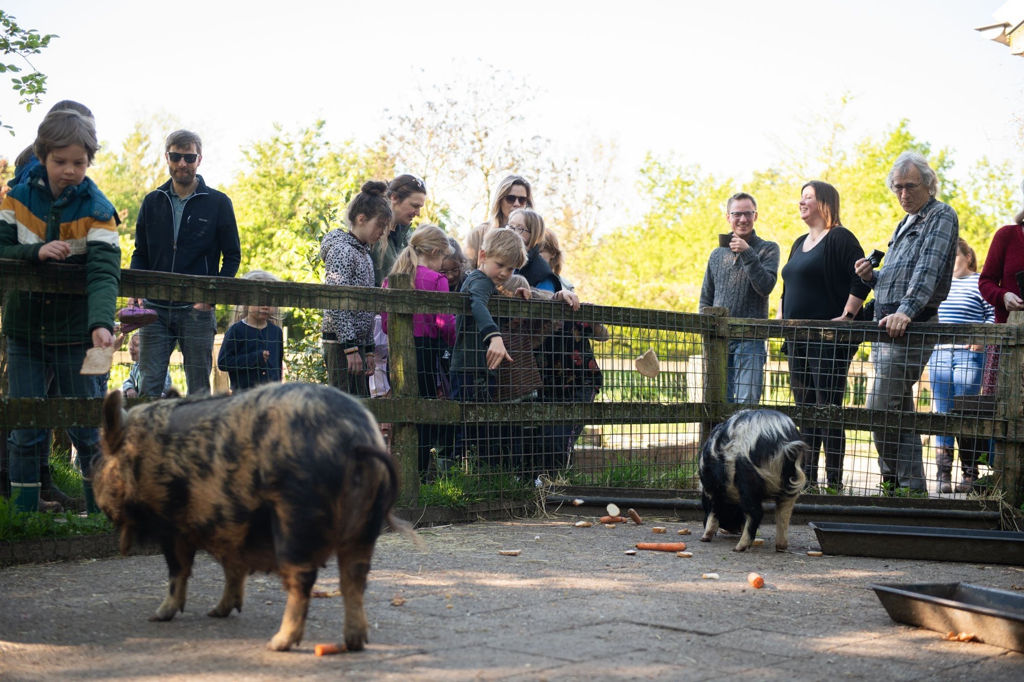 Dieren voeren 2