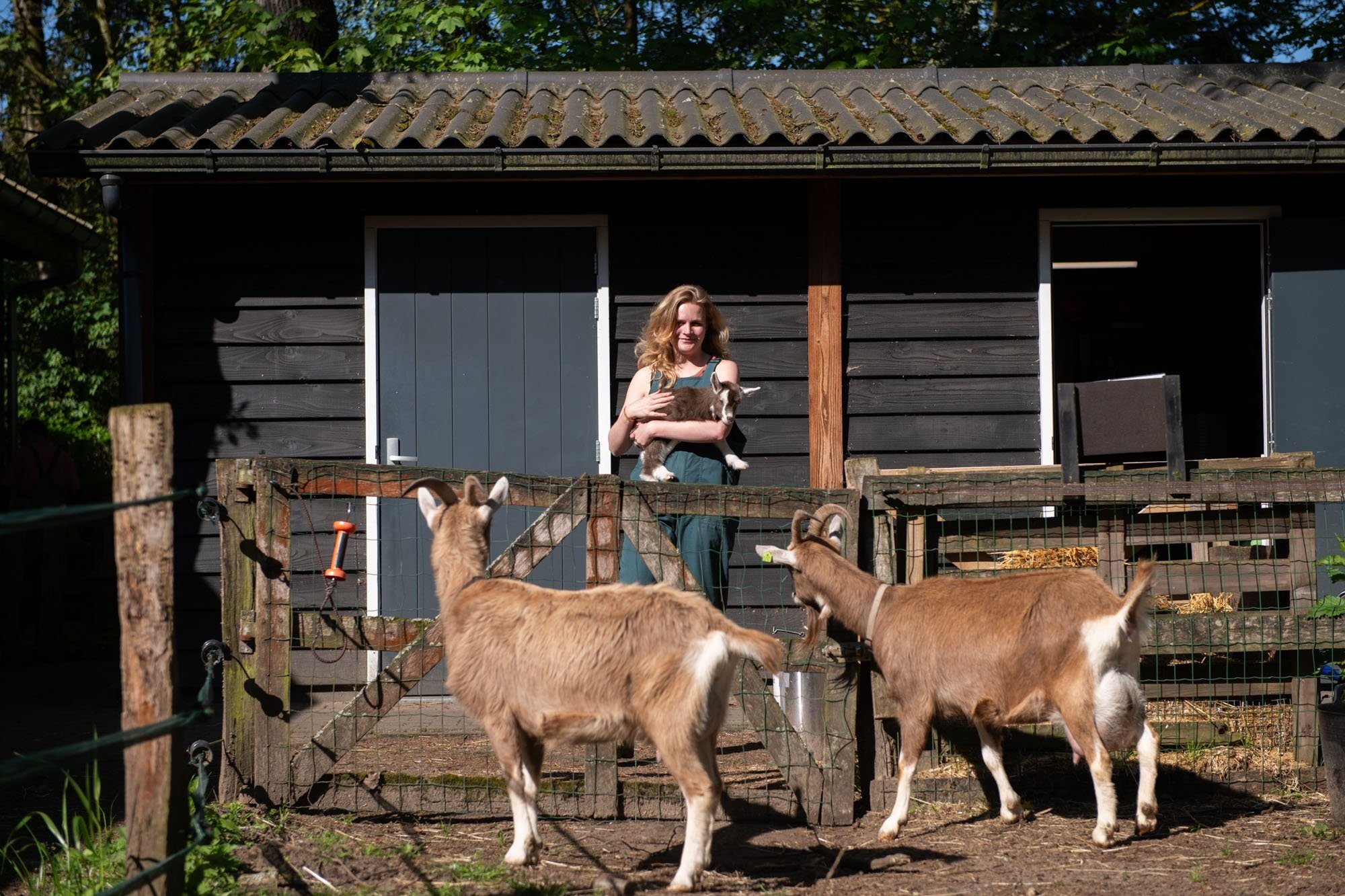 Dieren voeren 5