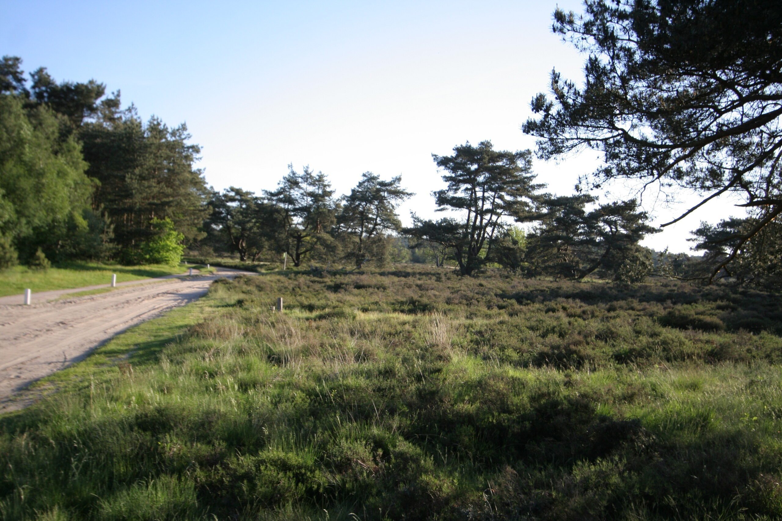 Wandelen in Otterlo