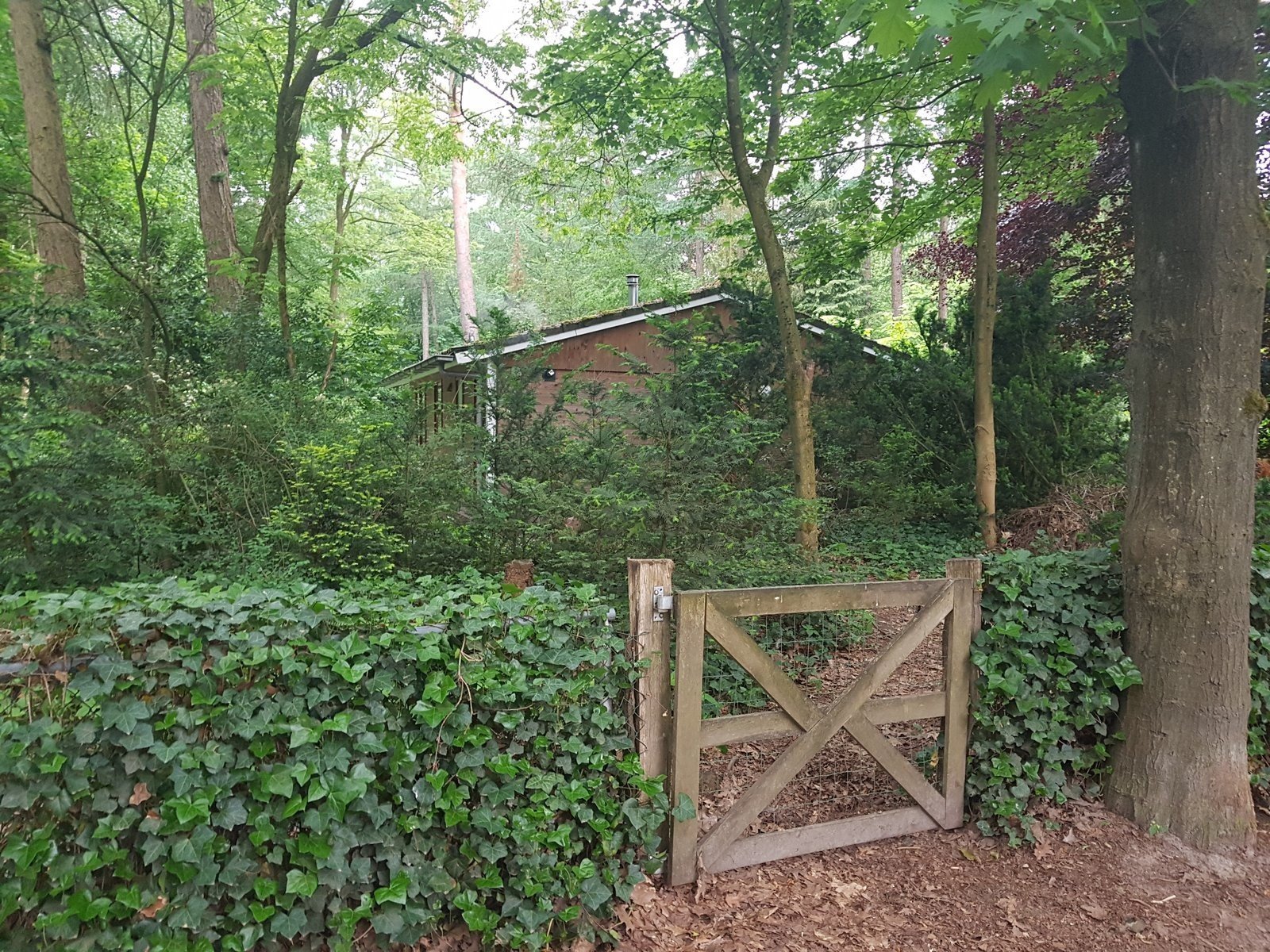Leeuwerik 12