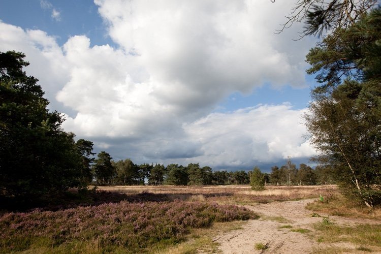 Nationaal Park de Hoge Veluwe