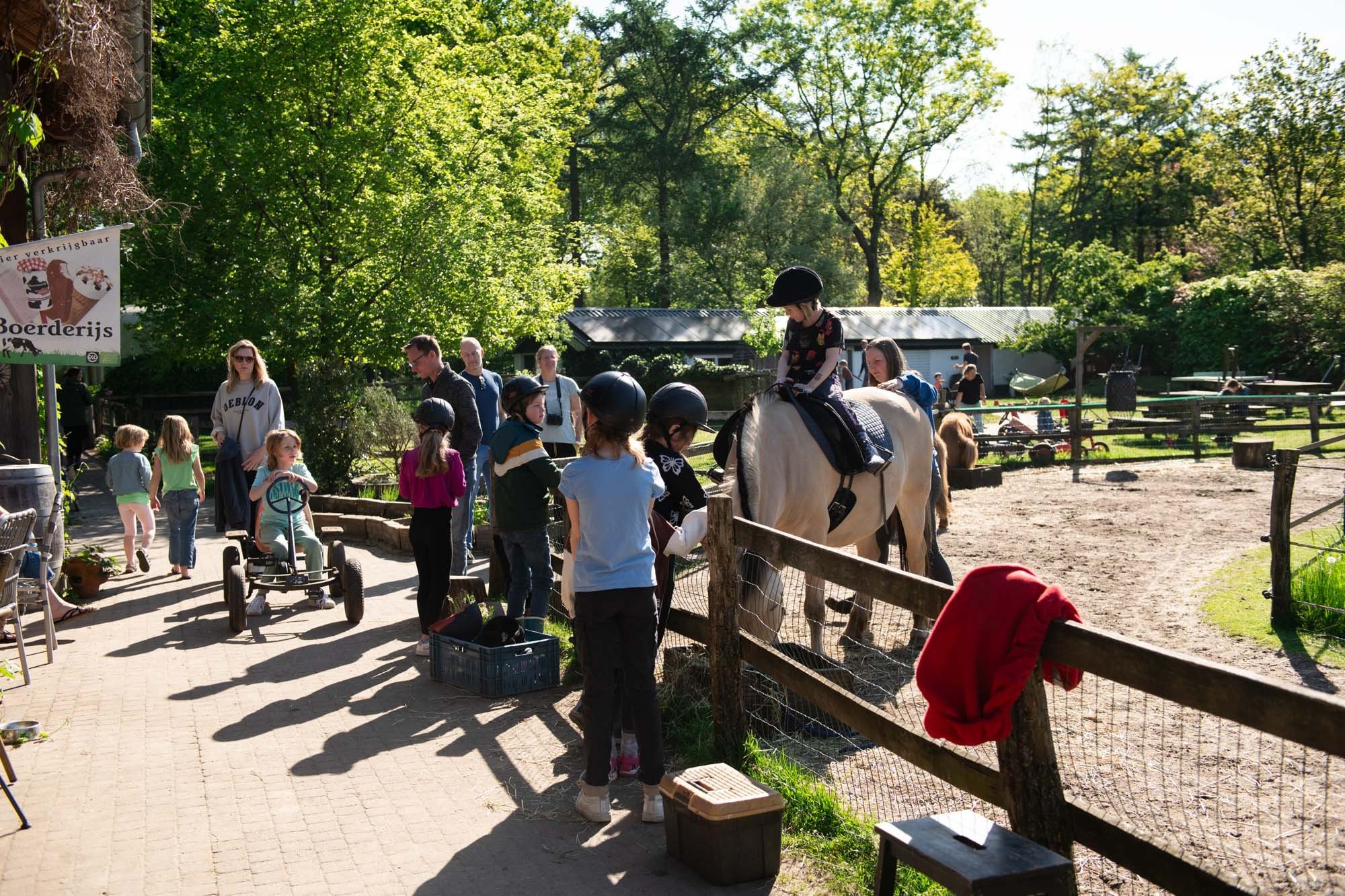 Paardrijden 4