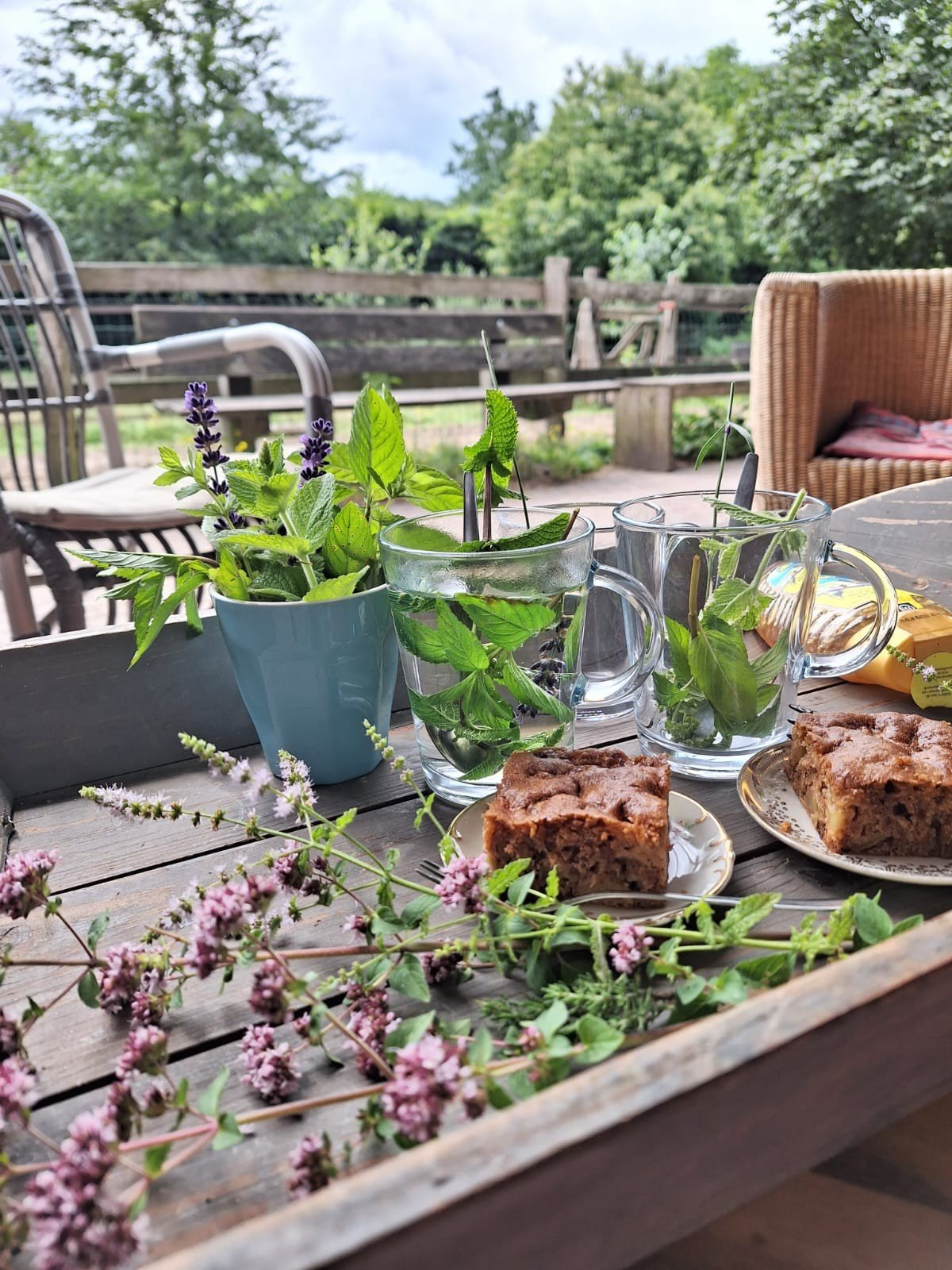 Ons menu en specialiteit