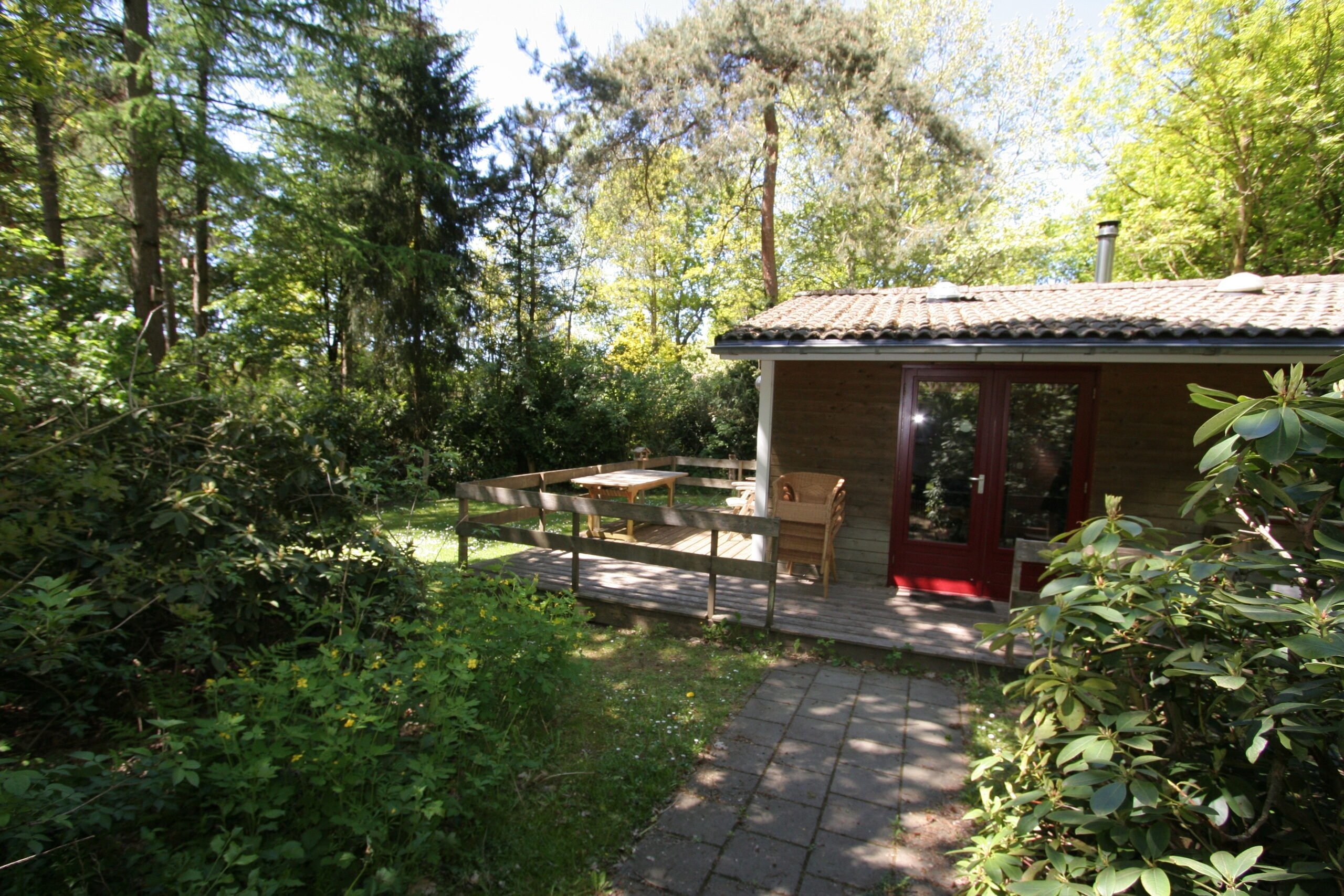 Specht 13