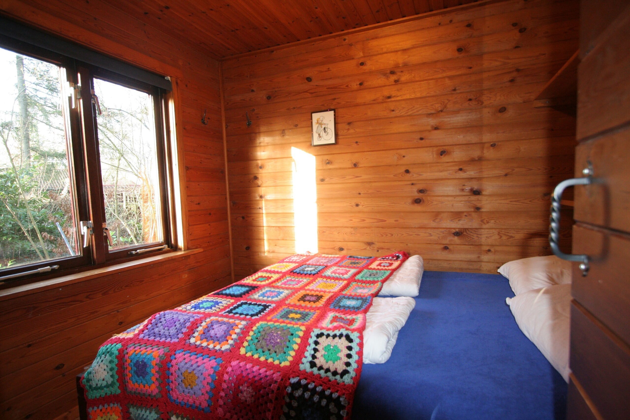 Specht 6
