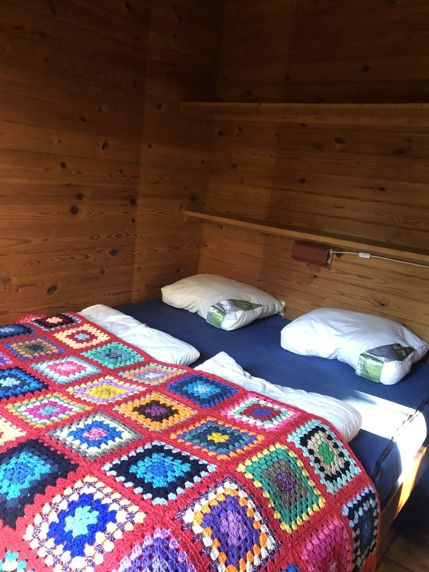 Specht 7